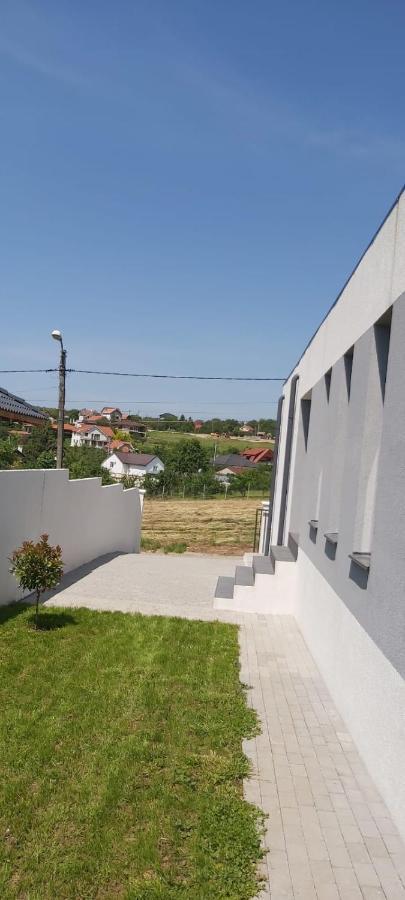 Vila Andrea Oradea Exterior foto