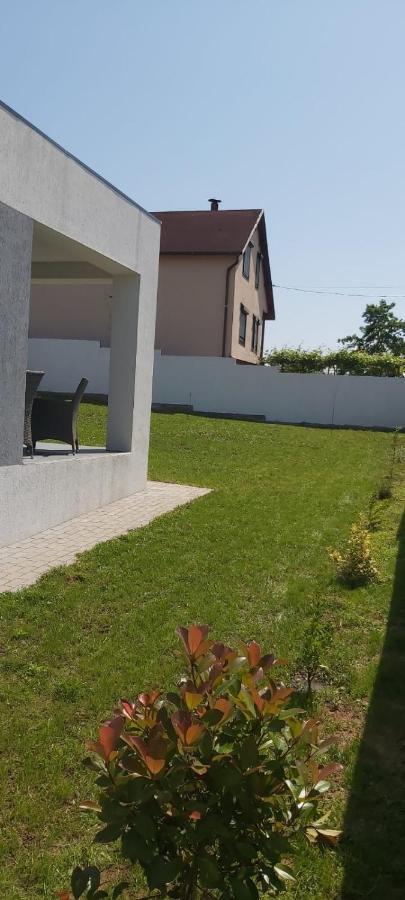 Vila Andrea Oradea Exterior foto