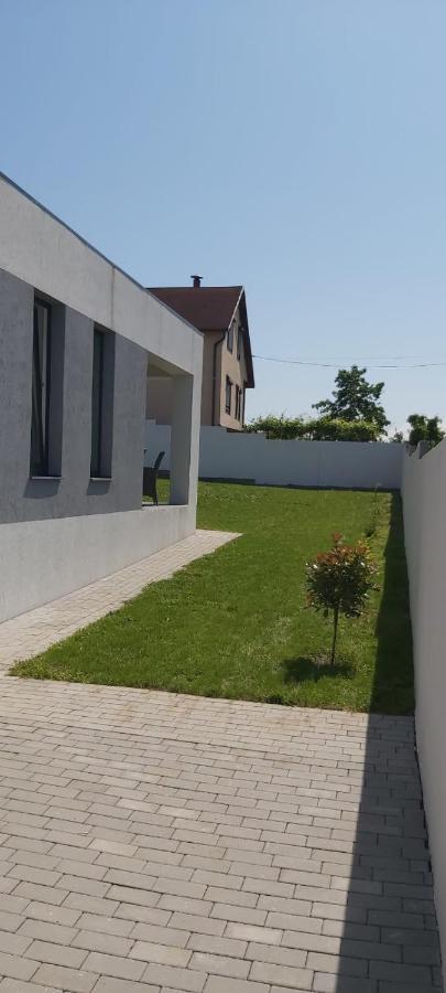 Vila Andrea Oradea Exterior foto